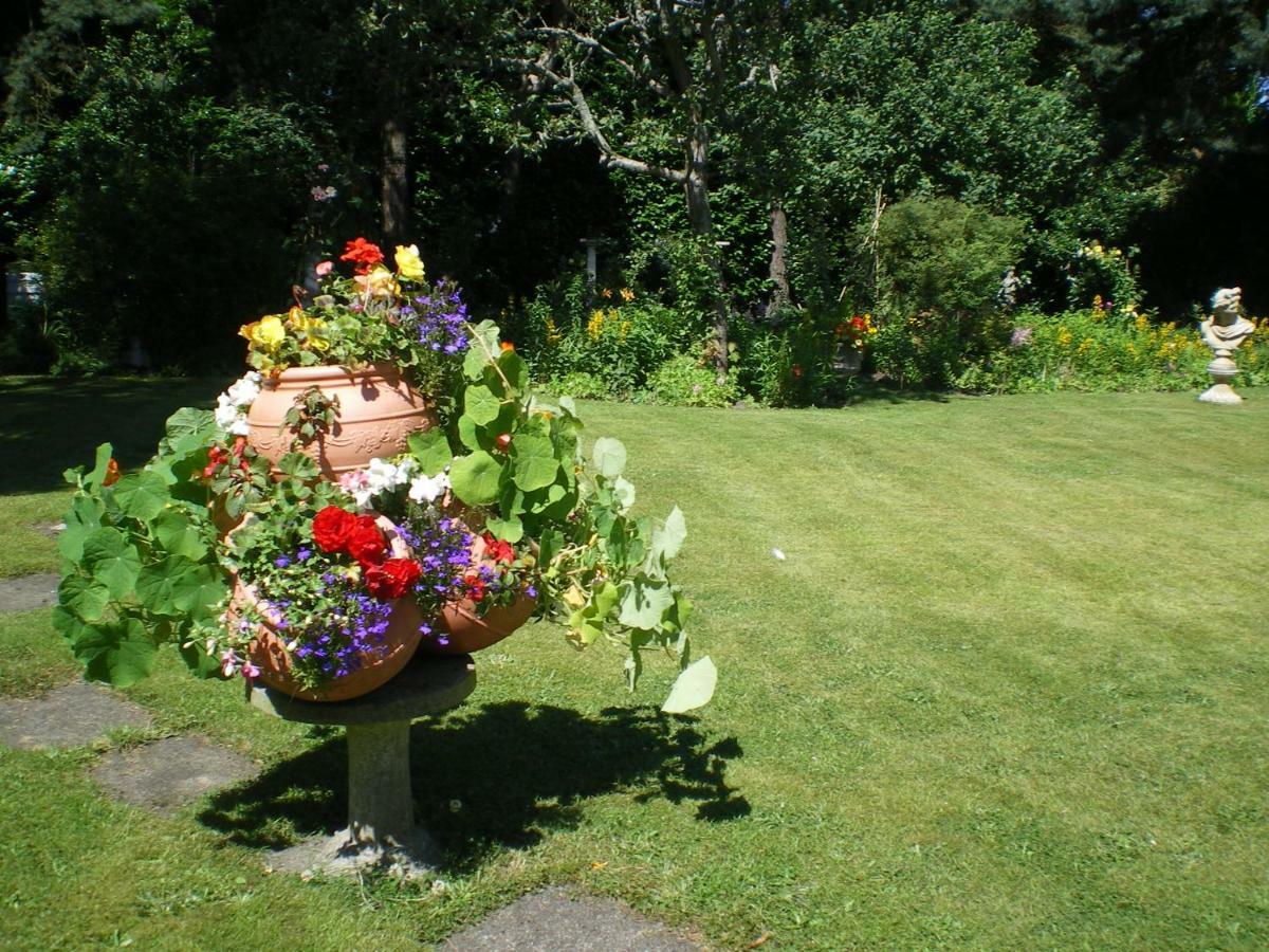 Heatherdene House Corfe Mullen Luaran gambar